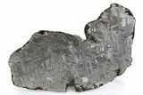 Etched Toluca Iron Meteorite ( g) Slice - Mexico #300780-1